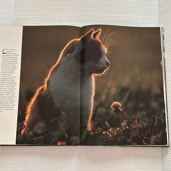 CATS By Tom Howard 1992 Coffee Table Picture Book 14” x 10” - Picture 3 of 6